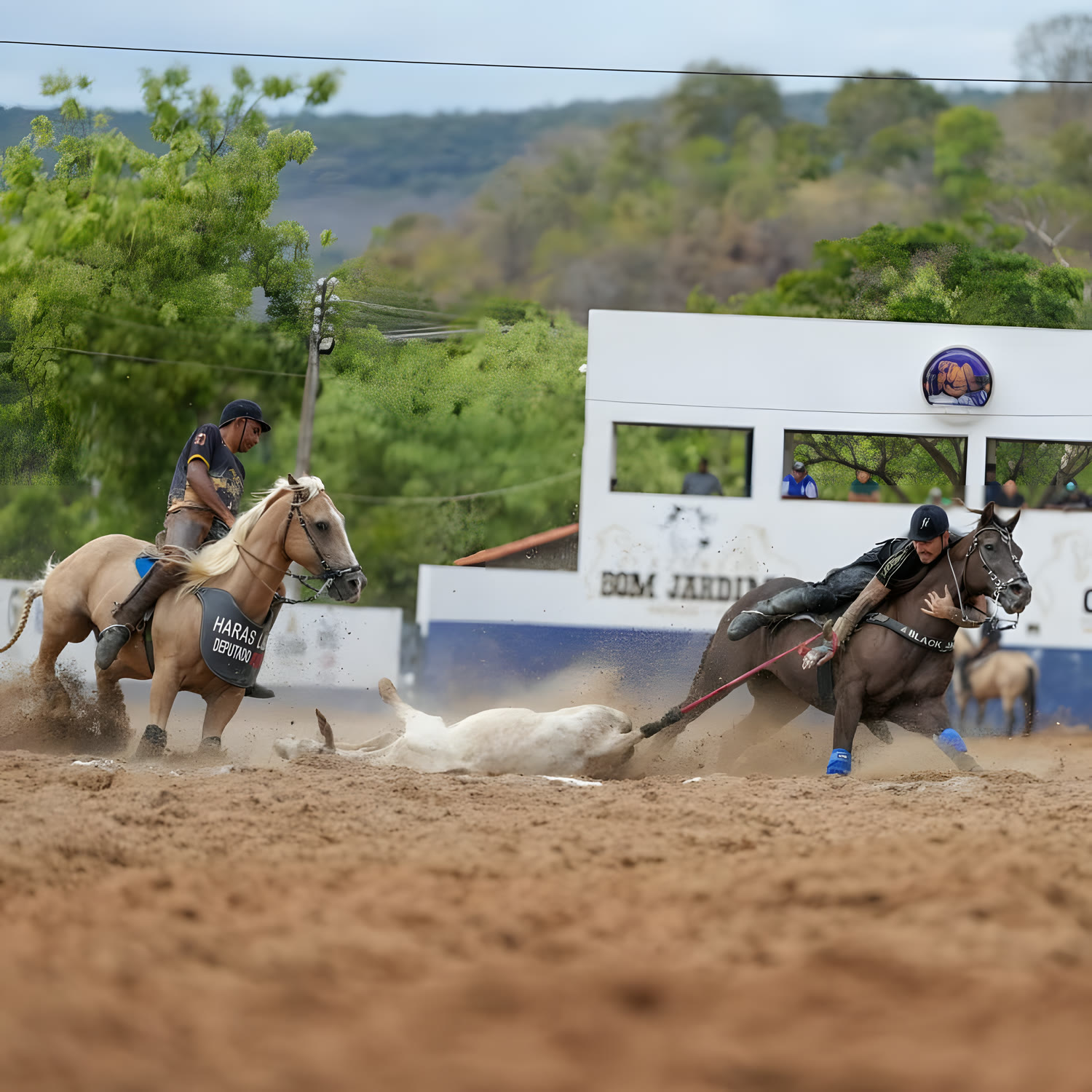 Vaqueiros a cavalo derrubando o boi na arena de areia